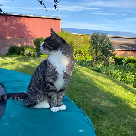 Lägenhet Bauerhof Kleingarn - Bauernhus 11 *