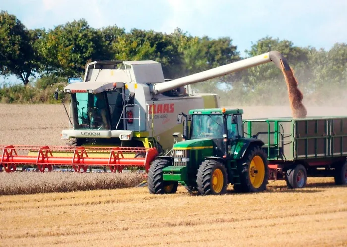 Bauerhof Kleingarn - Bauernhus 11 Apartment